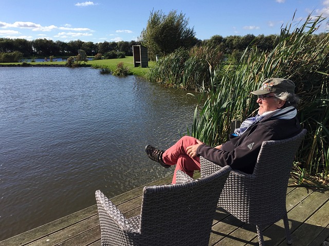 条款显示 条款显示