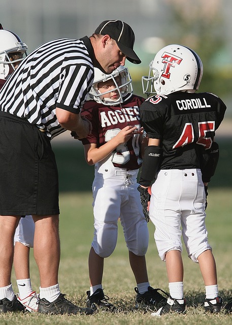 这样的条款 这样的条款